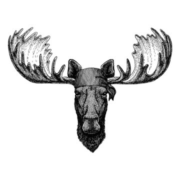 Moose. Elk. Wild animal wearing pirate bandana. Brave sailor. Hand drawn image for tattoo, emblem, badge, logo, patch