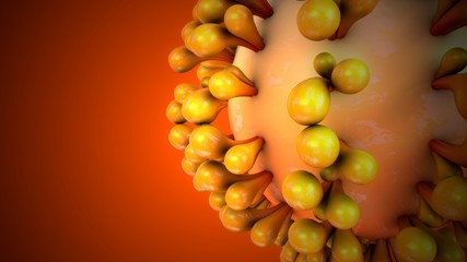 3d render of corona virus anatomy