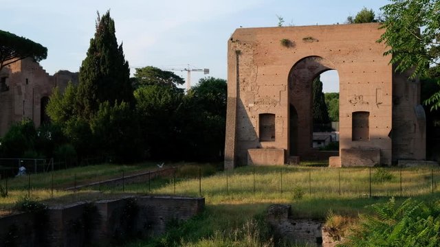 Roma. Gaviotas volando sobre las Termas de Caracalla. Lazio, Italia, Europa.