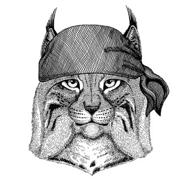 Wild cat, Lynx, Bobcat, Trot. Wild animal wearing pirate bandana. Brave sailor. Hand drawn image for tattoo, emblem, badge, logo, patch