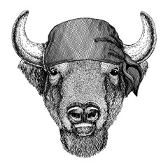 Wild animal wearing pirate bandana. Brave sailor. Hand drawn image for tattoo, emblem, badge, logo, patch