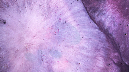 Colorful paint background in concept Fantasy luxury texture. Colors dropped into liquid and...