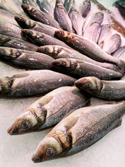 Obraz premium fresh fish on ice at fish market