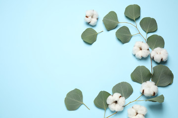 Beautiful floral composition with cotton flowers on light blue background, flat lay. Space for text