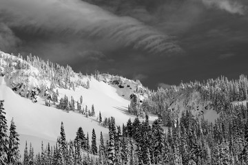 Snowy Mountain Scene In Black And White At Mount Rainier National Park