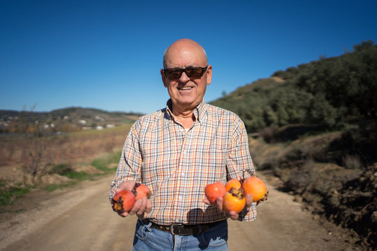Active enthusiastic mature man in sunglasses with tasty ripe persimmon in hands looking at camera on countryside road in sunny day