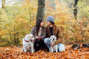 Naklejka na ściany i meble A young pretty couple and their two golden labrador are walking in the autumn park.