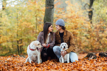 Fototapeta premium A young pretty couple and their two golden labrador are walking in the autumn park.