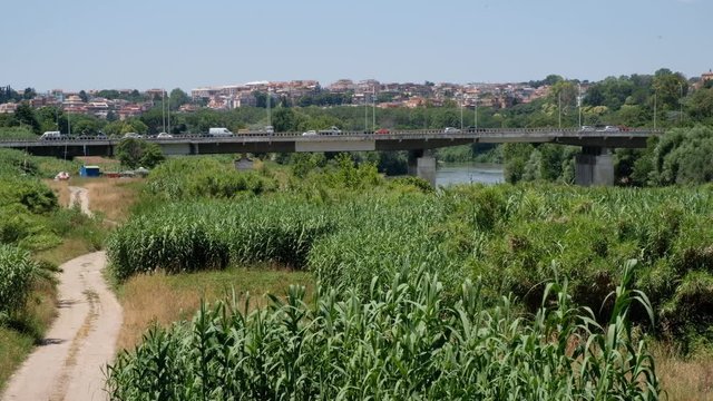 Roma. Tr&aacute;fico sobre el Puente Guglielmo Marconi, R&iacute;o T&iacute;ber. Lazio, Italia, Europa.