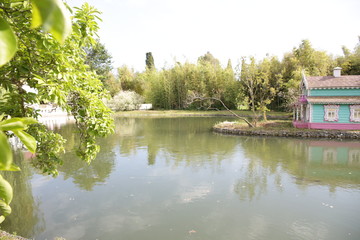 Fototapeta premium park