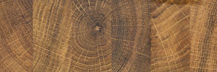 Fototapeta premium Abctract wooden texure closeup background. Print for laminate board concept