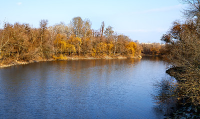 trees grow on the banks of the river