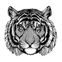 Tiger. Wild animal for tattoo, nursery poster, children tee, clothing, posters, emblem, badge, logo, patch