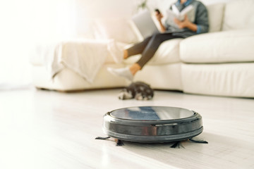 Cute puppy lying down next round black robotic vacuum cleaner while crop woman sitting on sofa in light room with laminate floor