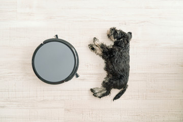 Top view of cute little dog sleeping on light wooden floor next to pet friendly robotic vacuum cleaner