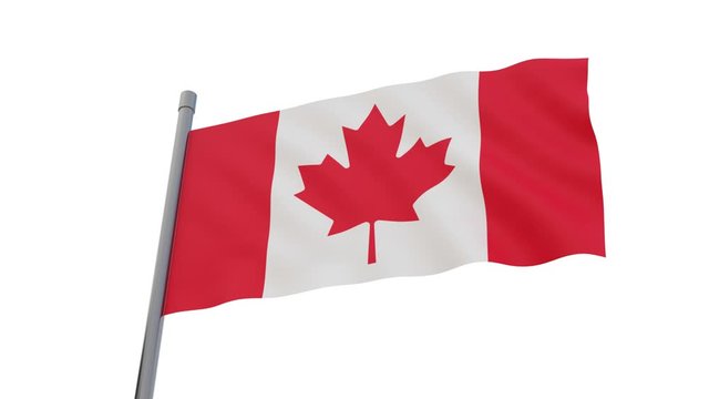 Canadian flag on flagpole. Isolated on white background. Canada waving flag. Looping video. Repeat. 3D-rendering.