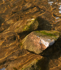 stones lie under water on the banks of the river