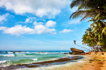 Tropical beach, summer vacation concept, Sri Lanka.