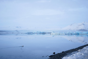 Winter landscape with lake, ice and mountains, Jökulsárlón Glacier Lagoon, Iceland 