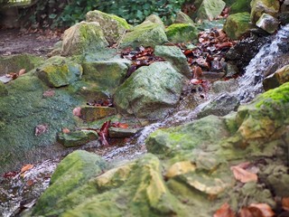 flowing stream and rocks woodland landscape 