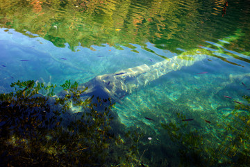 Plitvice lakes national park in Croatia, landscape