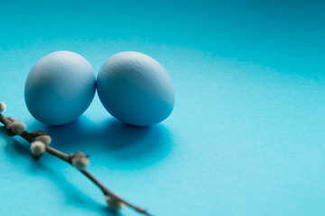 Two blue easter eggs and pussy-willow twig on a blue background. Monochrome.