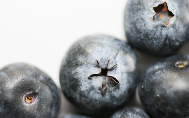 blueberries - macro of blueberries