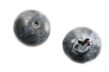 blueberry detail - detail of front and back of blueberry