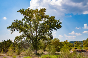 Landschaft in der Toskana