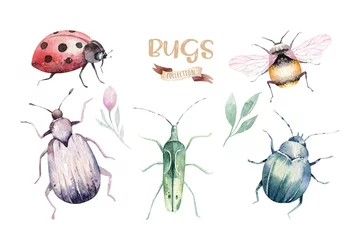 Set aus Aquarellkäfern, Käfern und Bienen. Lokalisierter bunter Karikaturbutt und -wanze. Insekten-Set-Dekoration © kris_art