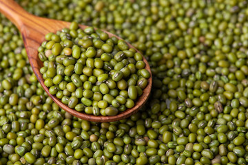 Scattered mung bean. Eco spoon. Mung bean, green moong in a wooden spoon, on black metallic vintage background. Copy space. Black background. 