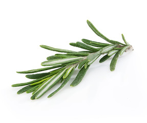 Fototapeta premium Fresh rosemary isolated on white background.