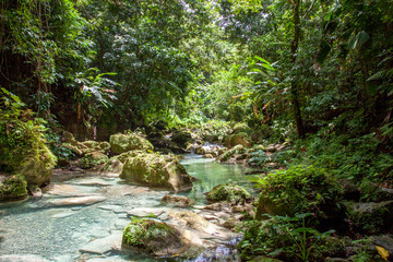 Naklejka na ściany i meble Tagesausflug: Abenteuer Fluss Wanderung unter den Reach Falls in Jamaica Portland