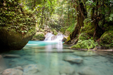 Tagesausflug: Abenteuer Fluss Wanderung unter den Reach Falls in Jamaica Portland © Erik Klietsch