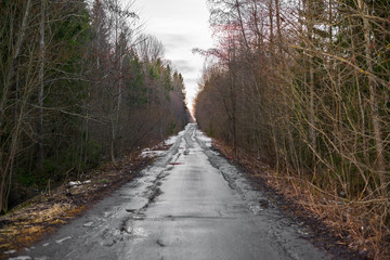 Fototapeta premium Wet road with debris on the side of the road and reflections in puddles running through the forest