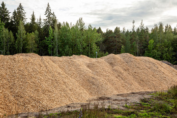 A large batch of waste, sawdust for processing in the woodworking industry