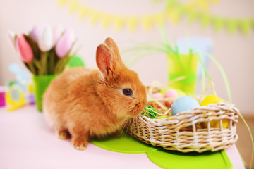 cute red rabbit with Easter basket close-up. The concept of Easter