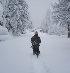 A powder day at Myra Canyon, Myra-Bellevue Provincial Park, Kelowna