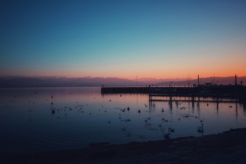 Fototapeta premium Winterlicher see