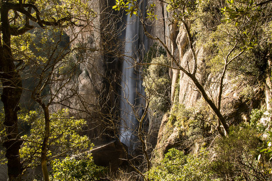 piscia di gallo cascata
