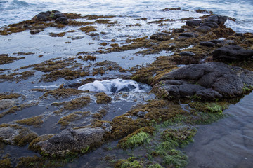 rocky shore with a large hole covered with algae washed by the salty waters of the Mediterranean Sea
