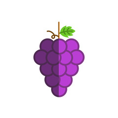 Grape icon. Wine concept. Vector illustration.