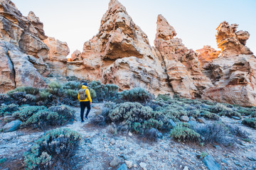 man walking in the woods and watching rocks