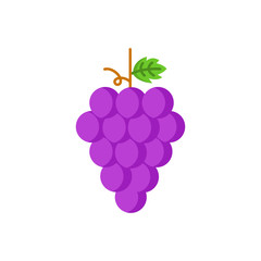 Grape icon. Wine concept. Vector illustration.