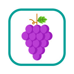 Grape icon. Wine concept. Vector illustration.