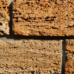 Brick wall of yellow shell rock. Closeup of shellstone texture.