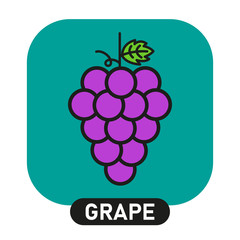 Grape icon. Wine concept. Vector illustration.
