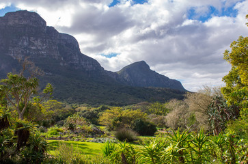 Obraz premium Widok na ogród botaniczny Kirstenbosch w Kapsztadzie w RPA