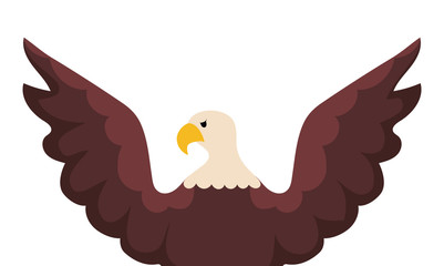 Isolated eagle bird vector design