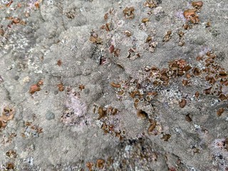 Rock surface close up